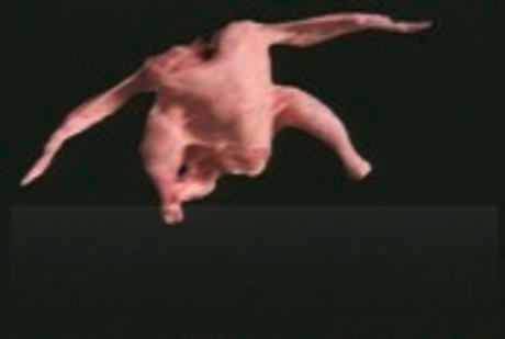 chicken